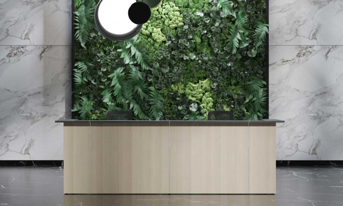 Recepce - recepční pult