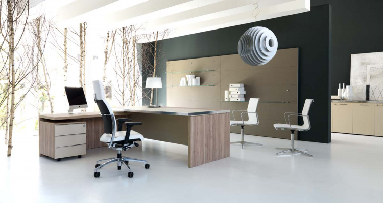 Manažerská řada ARA