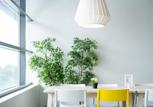 5 jednoduchých triků, jak změnit kancelář na eco-friendly